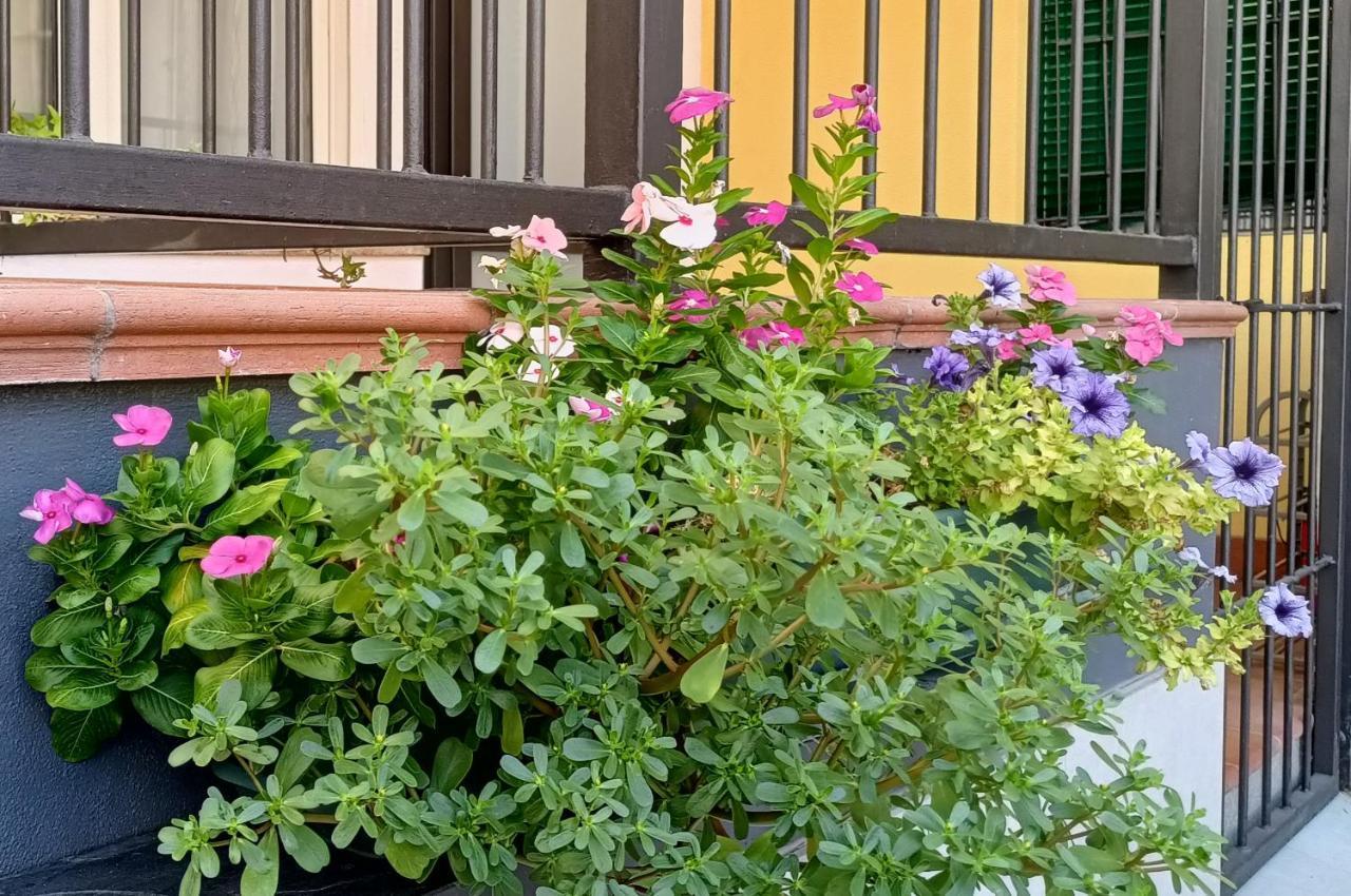 Appartamenti Borghetto San Donato 105 Болонья Экстерьер фото