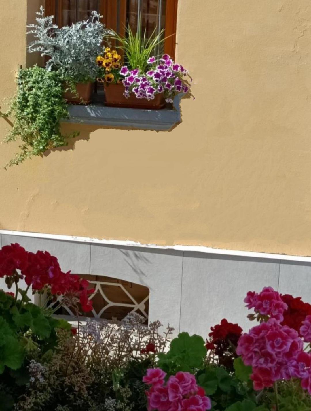 Appartamenti Borghetto San Donato 105 Болонья Экстерьер фото
