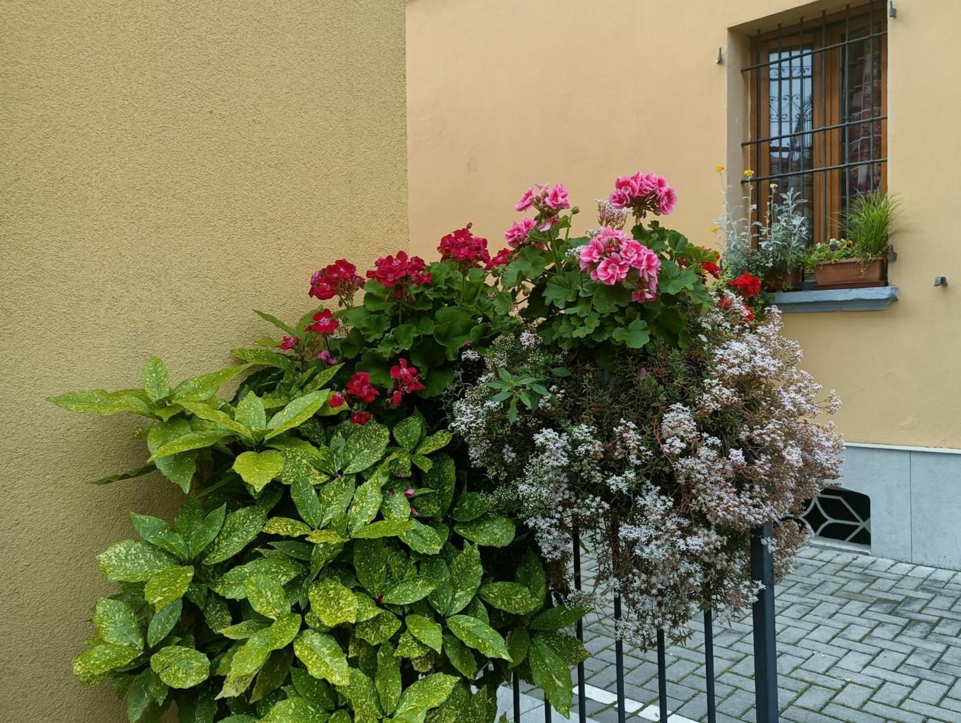 Appartamenti Borghetto San Donato 105 Болонья Экстерьер фото